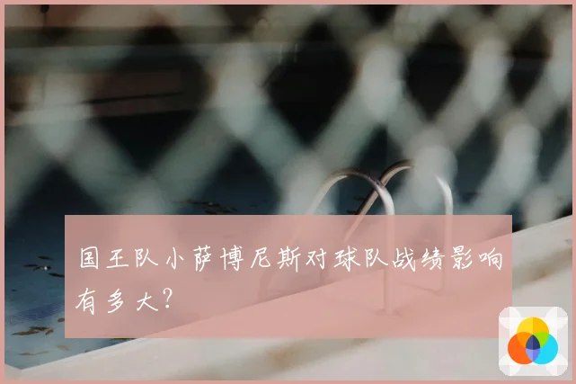 国王队小萨博尼斯对球队战绩影响有多大？